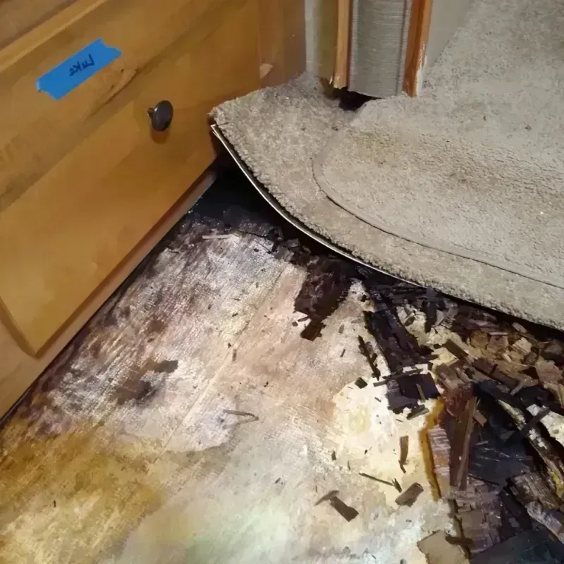 Wood Floor Water Damage in Anne Arundel County, MD